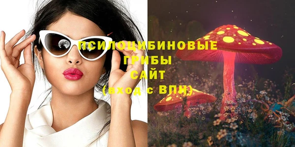 герыч Новодвинск