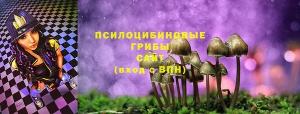 не бодяженный Нязепетровск