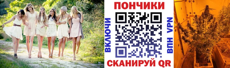 Канабис марихуана  как найти закладки  Арск 